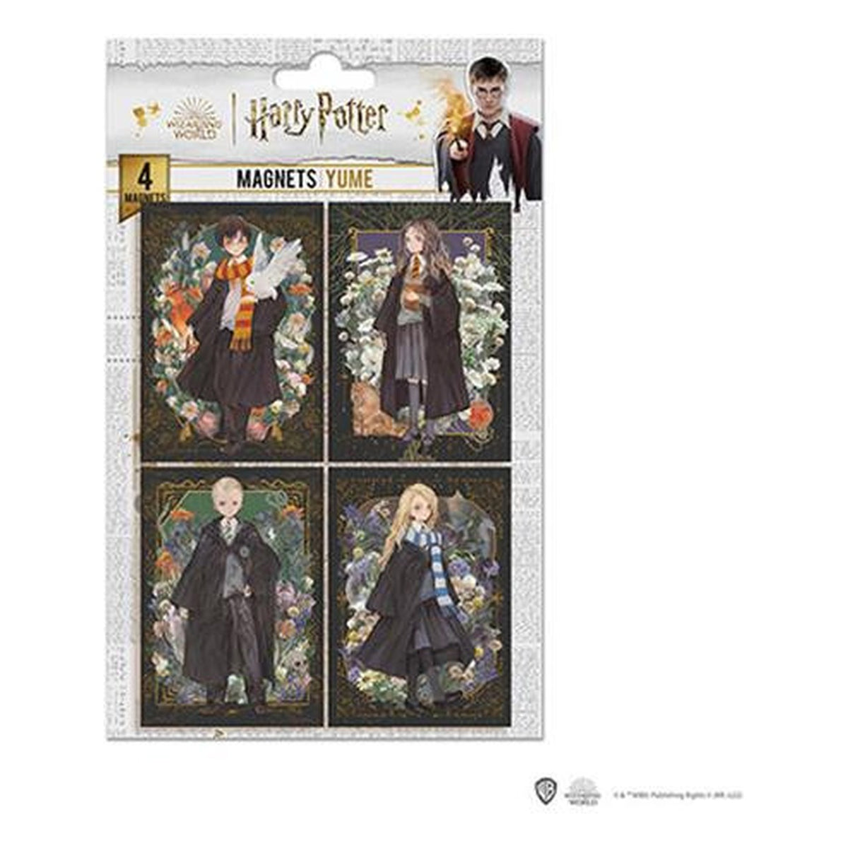 Harry Potter Ritratti dei Personaggi - Set di 4 Magneti