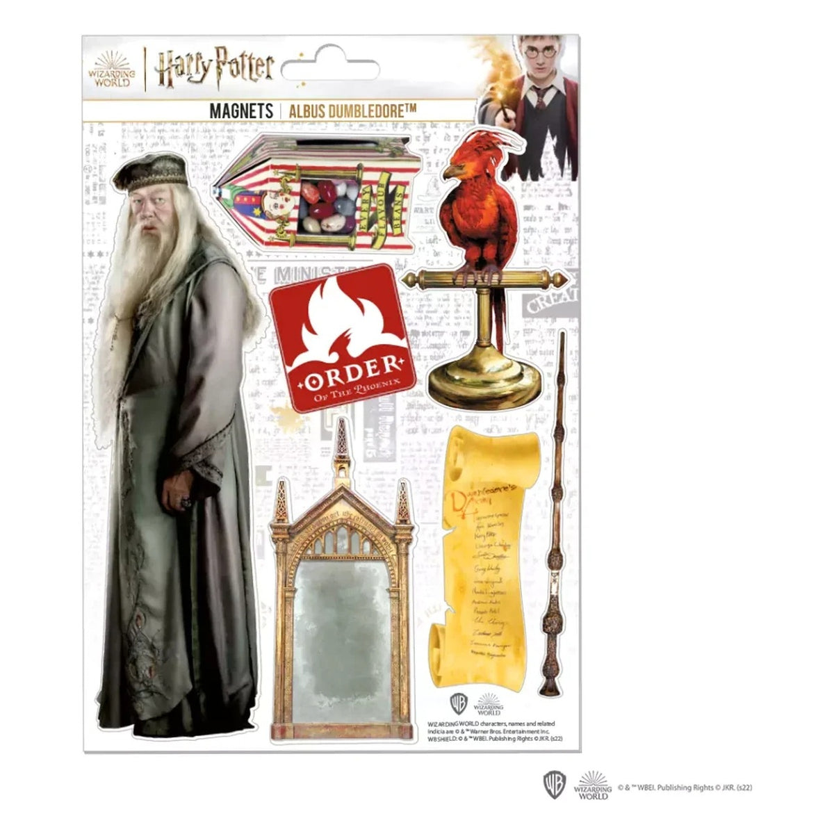 Set Magneti in Spugna Albus Silente - Harry Potter
