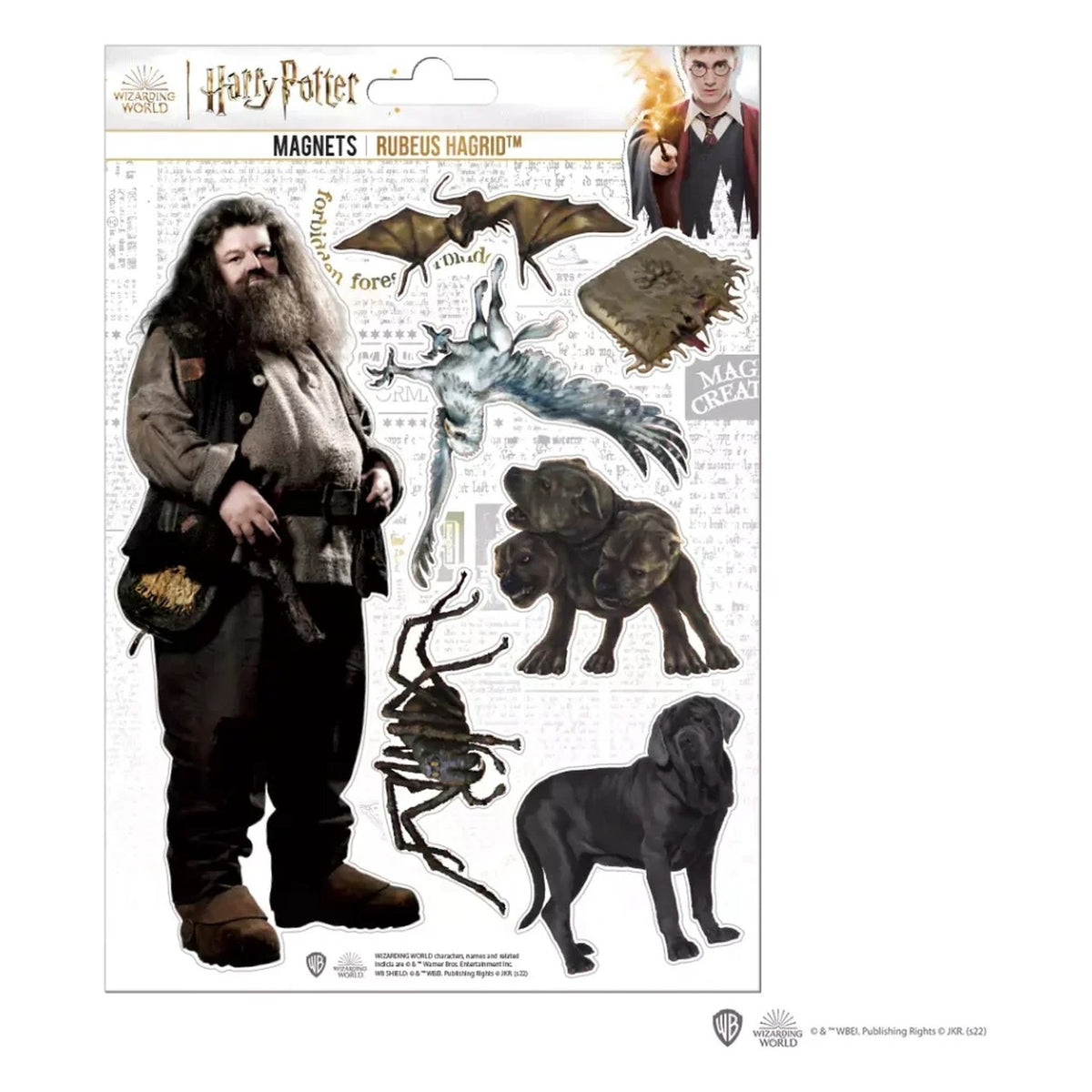 Set Magneti in Spugna Hagrid - Harry Potter