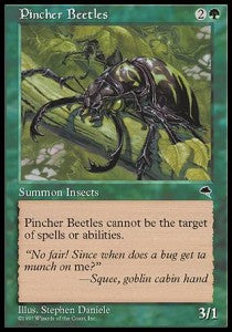 Pincher Beetles - Tempest (Common)
