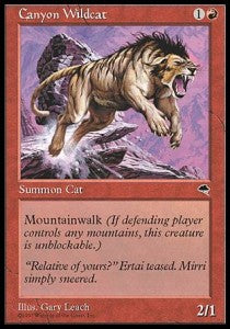 Canyon Wildcat - Tempest (Common)