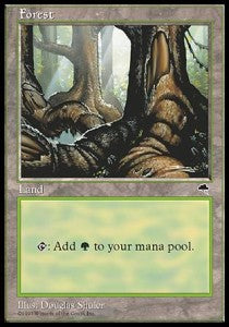 Forest (V.2)