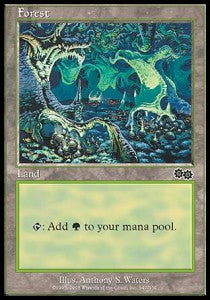 Forest (V.1) - Urza's Saga (Land) [USG-347]