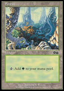 Forest (V.3) - Urza's Saga (Land) [USG-349]