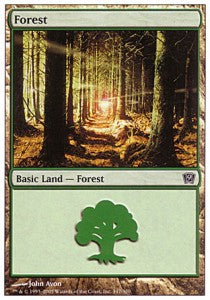 Forest (V.1)