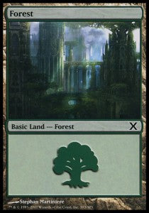 Forest (V.4)
