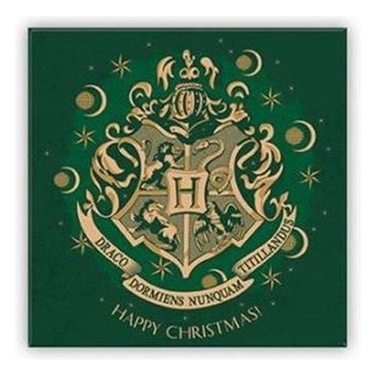 Harry Potter Hogwarts Verde - Magnete Collezione Natale