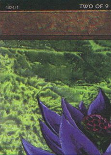 Black Lotus Puzzle Card (V.2) - Ultra-Pro Puzzle Cards (Special)