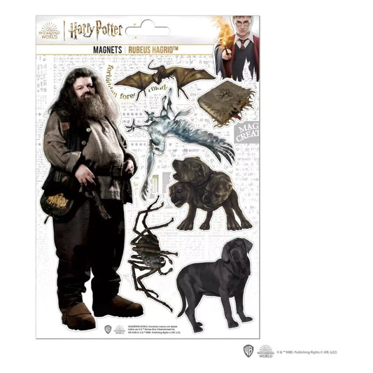 Set Magneti in Spugna Hagrid - Harry Potter