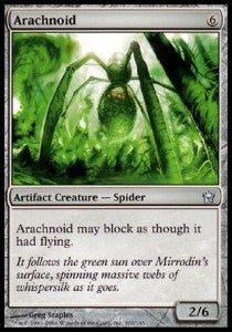 Arachnoid
