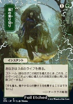 Weather the Storm (V.4)