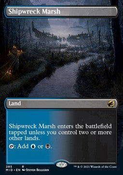 Shipwreck Marsh