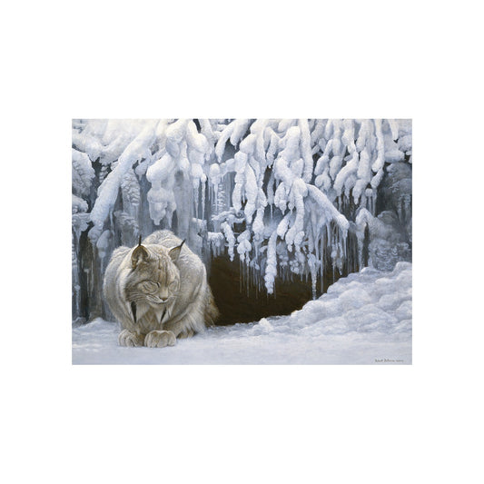 Cobble Hill: Dozing Lynx 1000 pezzi - Puzzle