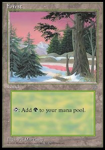 Forest (V.2)
