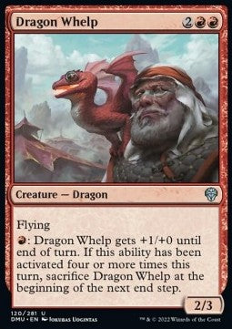 Dragon Whelp