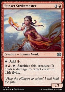 Sunset Strikemaster
