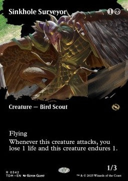 Sinkhole Surveyor