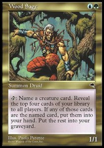 Wood Sage - Tempest (Rare)